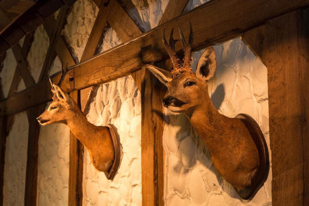 Hotel Am Fang Бад Ласфе Екстериор снимка